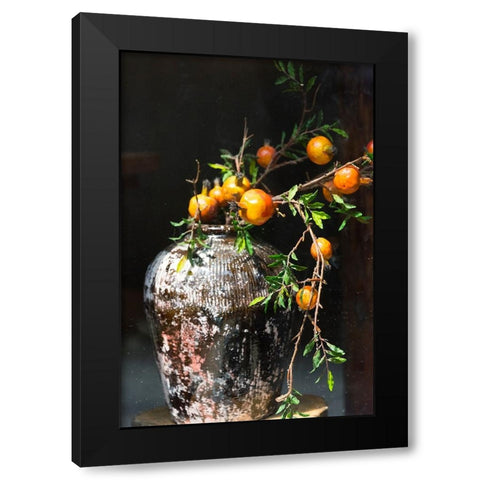 Pomegranate grown from a wine jar-Tangqi Ancient Town-Hangzhou-Zhejiang Province-China Black Modern Wood Framed Art Print with Double Matting by Su, Keren