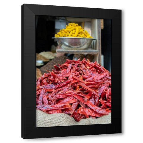 India-Delhi-Old Delhi Old Delhi street market Black Modern Wood Framed Art Print with Double Matting by Hopkins, Cindy Miller