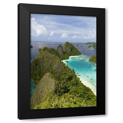 Island vegetation, New Guinea Island, Indonesia Black Modern Wood Framed Art Print with Double Matting by Shimlock, Jones