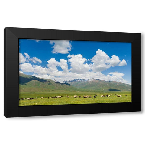 Summer pasture with traditional Yurts The Suusamyr plain Black Modern Wood Framed Art Print with Double Matting by Zwick, Martin