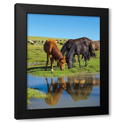 Horses on their mountain pasture at lake Song Kol  Black Modern Wood Framed Art Print by Zwick, Martin