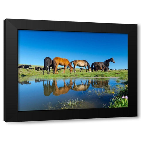 Horses on their mountain pasture at lake Song Kol  Black Modern Wood Framed Art Print by Zwick, Martin