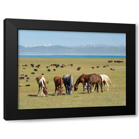 Horses on their mountain pasture at lake Song Kol  Black Modern Wood Framed Art Print by Zwick, Martin