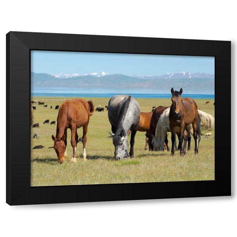 Horses on their mountain pasture at lake Song Kol  Black Modern Wood Framed Art Print by Zwick, Martin