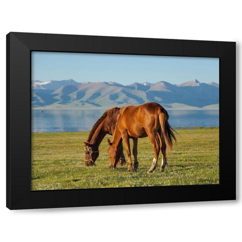 Horses on their mountain pasture at lake Song Kol  Black Modern Wood Framed Art Print by Zwick, Martin