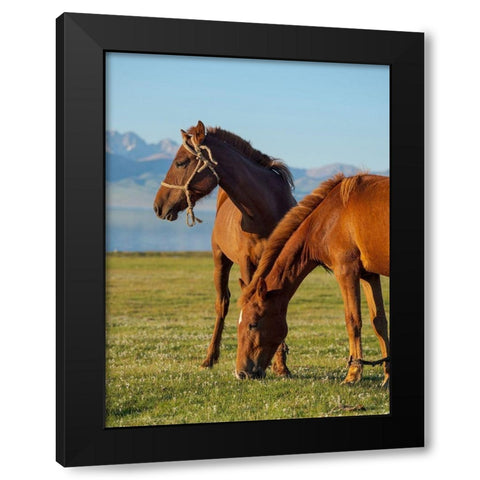 Horses on their mountain pasture at lake Song Kol  Black Modern Wood Framed Art Print by Zwick, Martin