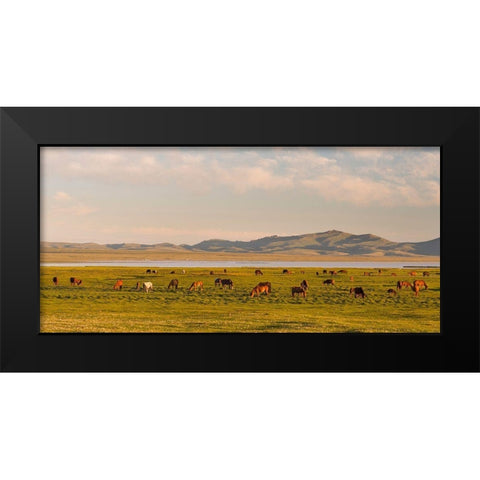 Horses on their mountain pasture at lake Song Kol  Black Modern Wood Framed Art Print by Zwick, Martin