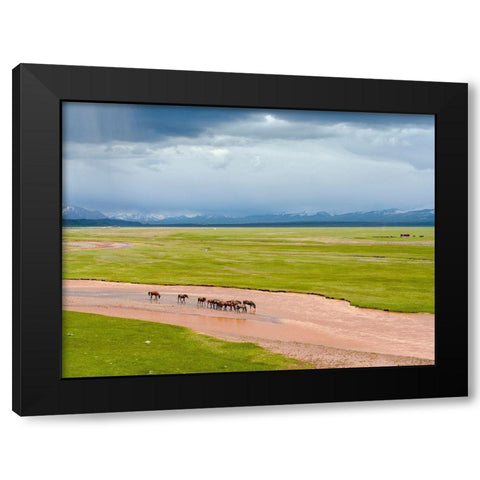Horses in the Alay Valley and the Trans-Alay Range in the Pamir Mountains  Black Modern Wood Framed Art Print with Double Matting by Zwick, Martin