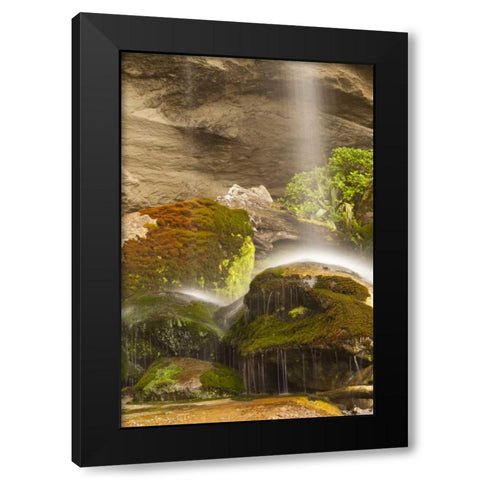 New Zealand, Paparoa NP Waterfall striking rocks Black Modern Wood Framed Art Print by Illg, Cathy and Gordon