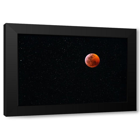 Total blood moon eclipse seen from Big Island-Hawaii Black Modern Wood Framed Art Print by Miglavs, Janis