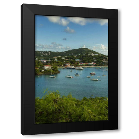 Caribbean, USA Virgin Islands, St John Cruz Bay Black Modern Wood Framed Art Print by Illg, Cathy and Gordon
