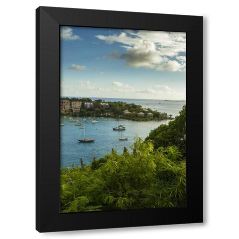 Caribbean, USA Virgin Islands, St John Cruz Bay Black Modern Wood Framed Art Print with Double Matting by Illg, Cathy and Gordon