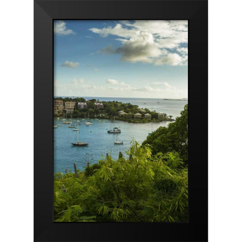 Caribbean, USA Virgin Islands, St John Cruz Bay Black Modern Wood Framed Art Print by Illg, Cathy and Gordon