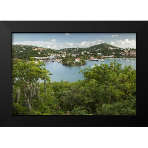 Caribbean, USA Virgin Islands, St John Cruz Bay Black Modern Wood Framed Art Print by Illg, Cathy and Gordon
