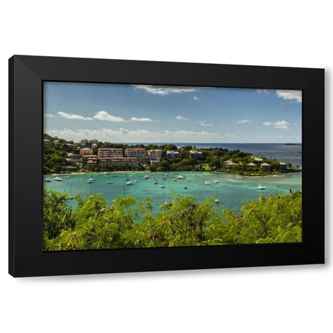 Caribbean, USA Virgin Islands, St John Cruz Bay Black Modern Wood Framed Art Print by Illg, Cathy and Gordon