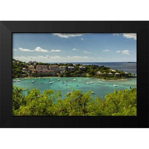 Caribbean, USA Virgin Islands, St John Cruz Bay Black Modern Wood Framed Art Print by Illg, Cathy and Gordon