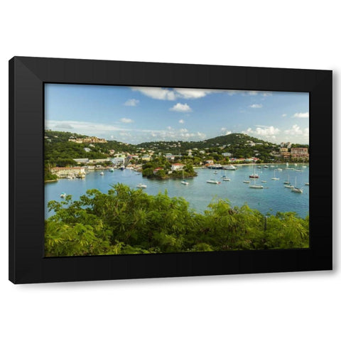 Caribbean, USA Virgin Islands, St John Cruz Bay Black Modern Wood Framed Art Print by Illg, Cathy and Gordon