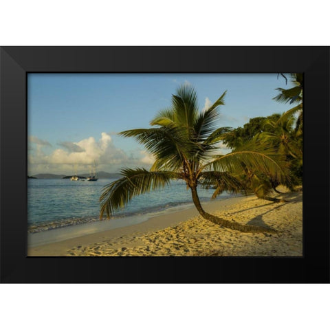 Caribbean, USA Virgin Islands Beach scenic Black Modern Wood Framed Art Print by Illg, Cathy and Gordon