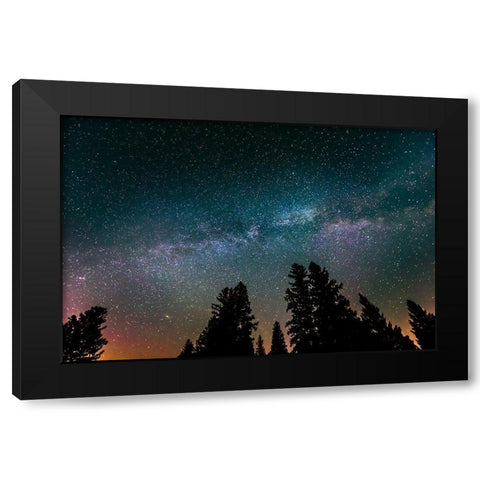 Canada-Manitoba-Milky Way Galaxy and starry night with white spruce in foreground Black Modern Wood Framed Art Print by Jaynes Gallery