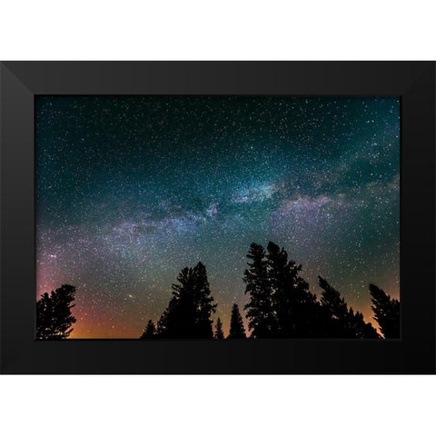 Canada-Manitoba-Milky Way Galaxy and starry night with white spruce in foreground Black Modern Wood Framed Art Print by Jaynes Gallery