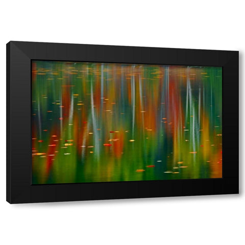 Canada, Ontario Autumn at Horseshoe Lake Black Modern Wood Framed Art Print with Double Matting by Grandmaison, Mike