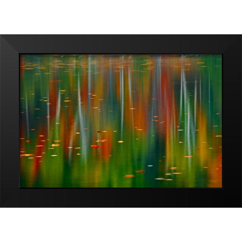 Canada, Ontario Autumn at Horseshoe Lake Black Modern Wood Framed Art Print by Grandmaison, Mike