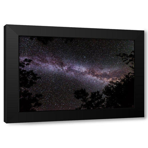 Canada-Ontario-Sioux Narrows Provincial Park-Night sky with Milky Way Black Modern Wood Framed Art Print with Double Matting by Jaynes Gallery