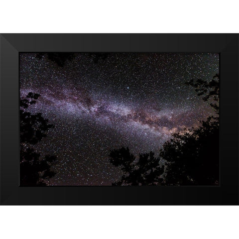 Canada-Ontario-Sioux Narrows Provincial Park-Night sky with Milky Way Black Modern Wood Framed Art Print by Jaynes Gallery