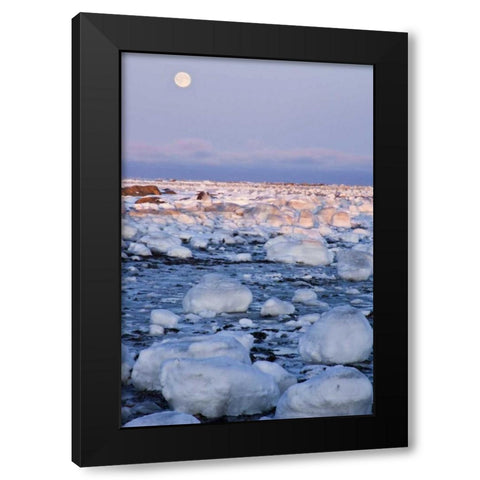 Canada, Hudson Bay Sunset and full moon rising Black Modern Wood Framed Art Print by Illg, Cathy and Gordon
