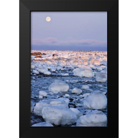 Canada, Hudson Bay Sunset and full moon rising Black Modern Wood Framed Art Print by Illg, Cathy and Gordon