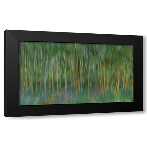 France-Giverny Abstract of bamboo forest in Monets Garden Black Modern Wood Framed Art Print by Jaynes Gallery