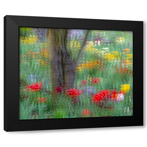 France-Giverny Impression of flowers in Monets Garden Black Modern Wood Framed Art Print by Jaynes Gallery