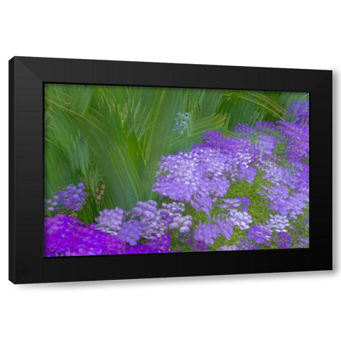 France-Giverny Impression of flowers in Monets Garden Black Modern Wood Framed Art Print with Double Matting by Jaynes Gallery