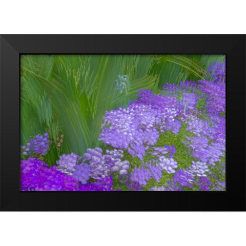 France-Giverny Impression of flowers in Monets Garden Black Modern Wood Framed Art Print by Jaynes Gallery