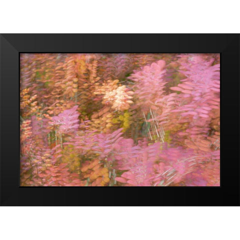 France-Giverny Impression of flowers in Monets Garden Black Modern Wood Framed Art Print by Jaynes Gallery
