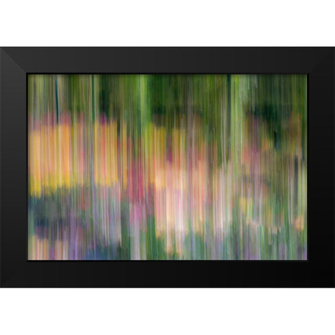 France-Giverny Abstract of flowers in Monets Garden Black Modern Wood Framed Art Print by Jaynes Gallery