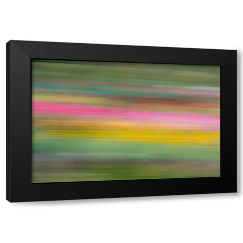 France-Giverny Abstract of flowers in Monets Garden Black Modern Wood Framed Art Print by Jaynes Gallery