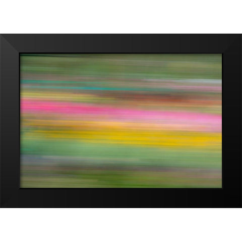 France-Giverny Abstract of flowers in Monets Garden Black Modern Wood Framed Art Print by Jaynes Gallery
