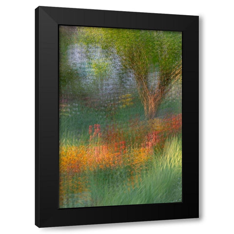 France-Giverny Impression of flowers in Monets Garden Black Modern Wood Framed Art Print with Double Matting by Jaynes Gallery