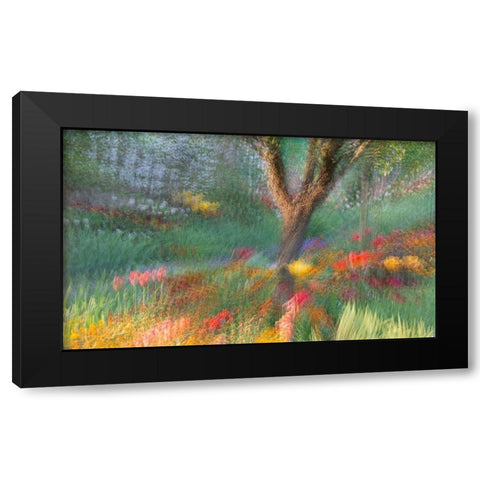 France-Giverny Impression of flowers in Monets Garden Black Modern Wood Framed Art Print with Double Matting by Jaynes Gallery