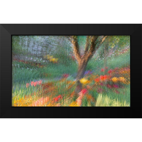 France-Giverny Impression of flowers in Monets Garden Black Modern Wood Framed Art Print by Jaynes Gallery