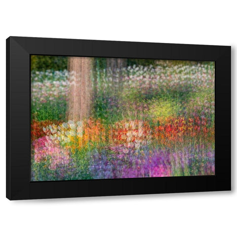 France-Giverny Impression of flowers in Monets Garden Black Modern Wood Framed Art Print with Double Matting by Jaynes Gallery