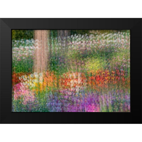 France-Giverny Impression of flowers in Monets Garden Black Modern Wood Framed Art Print by Jaynes Gallery