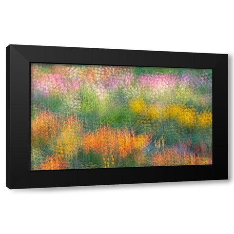 France-Giverny Impression of flowers in Monets Garden Black Modern Wood Framed Art Print by Jaynes Gallery
