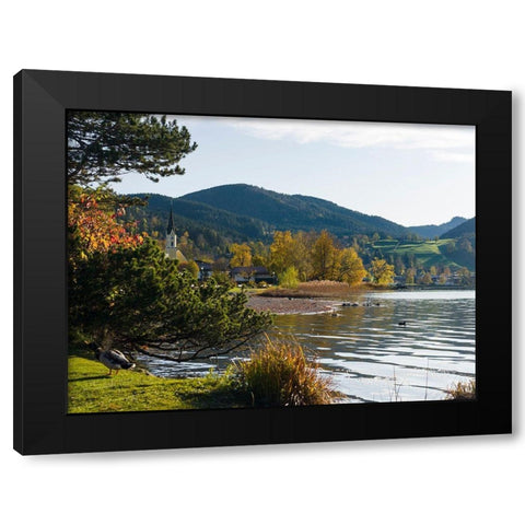 Lake and village Schliersee in the Bavarian Alps-Bavaria-Germany Black Modern Wood Framed Art Print by Zwick, Martin