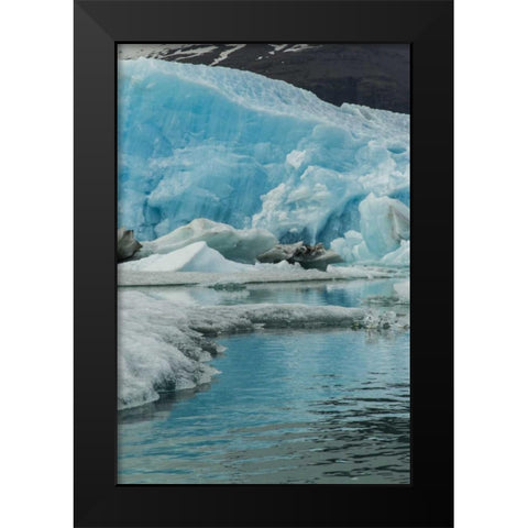 Iceland, Jokusarlon Iceberg reflects in water Black Modern Wood Framed Art Print by Illg, Cathy and Gordon