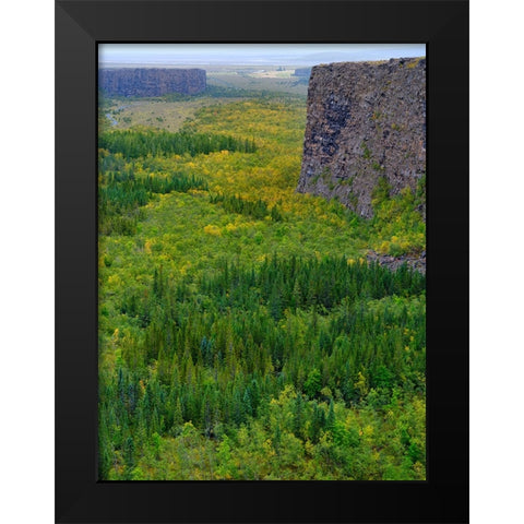 Asbyrgi canyon in Vatnajokull National Park-Iceland Black Modern Wood Framed Art Print by Zwick, Martin