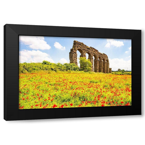 Italy-Rome Parc of the Aqueducts (Parco degli Acquedotti)-Acqua Claudio Black Modern Wood Framed Art Print by Jones, Alison