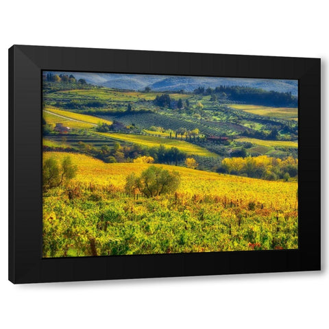 Italy-Chianti Vineyard in autumn in the Chianti region of Tuscany Black Modern Wood Framed Art Print with Double Matting by Eggers, Julie