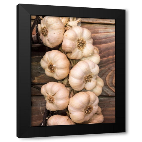 Italy-Chianti Garlic hanging in a meat shop in the town of Radda in Chianti Black Modern Wood Framed Art Print with Double Matting by Eggers, Julie